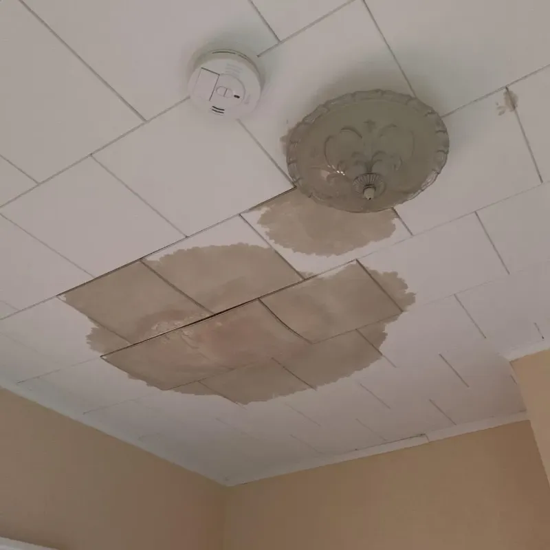 Ceiling Water Damage Repair in Fort Hood, TX