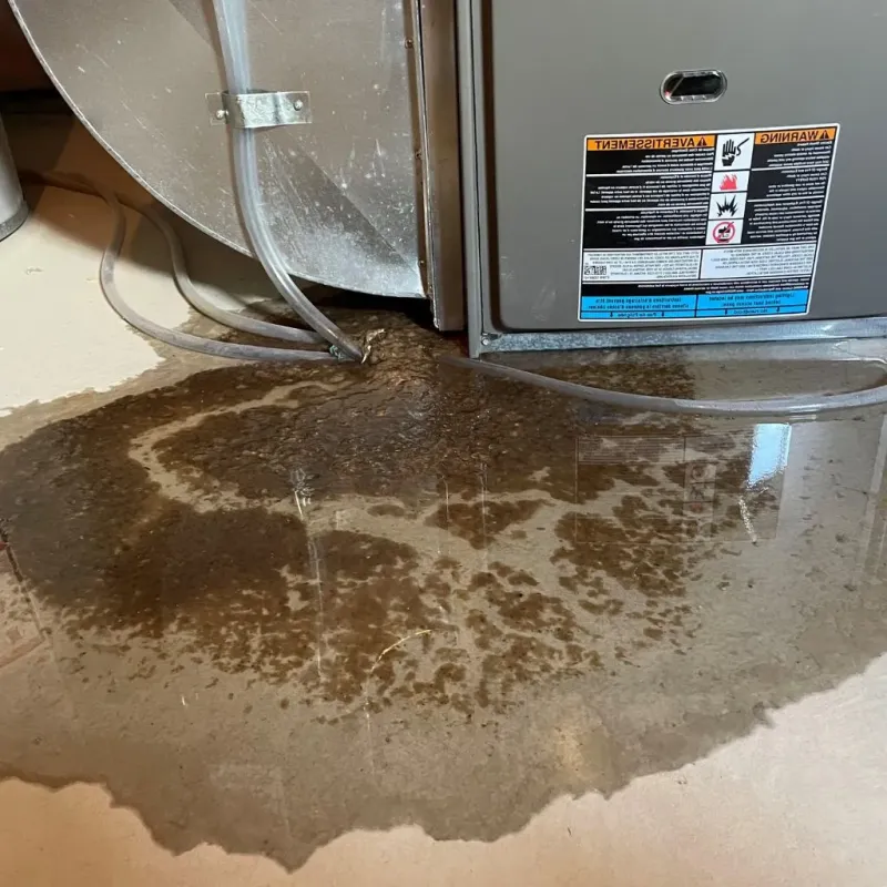 Pipe Burst and Leak Restoration in Fort Hood, TX
