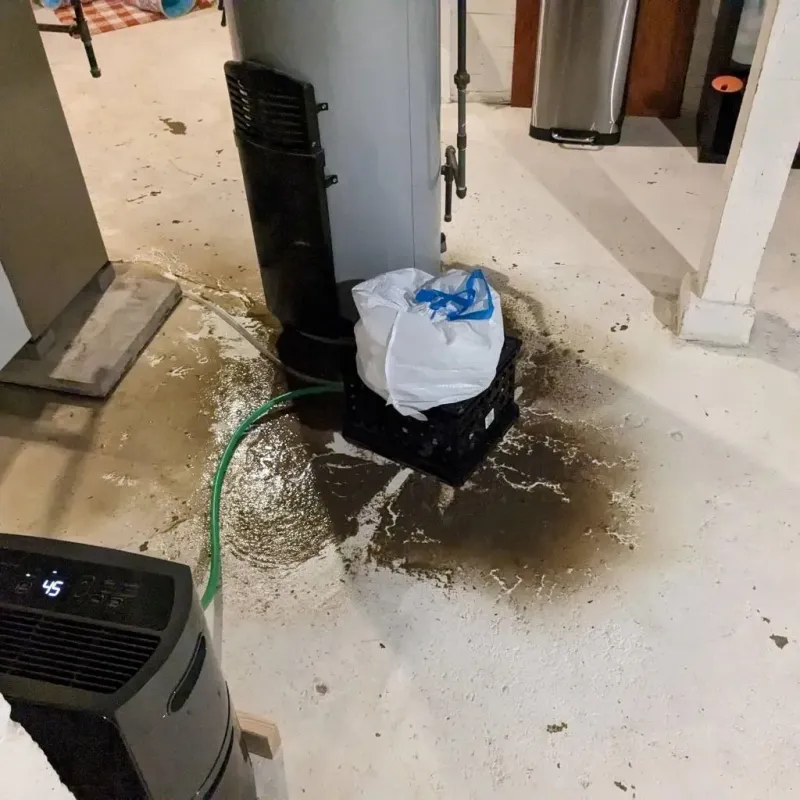 Sewage Backup Cleanup Service in Fort Hood, TX